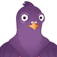 pidgin